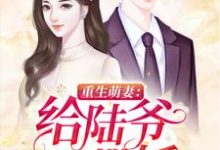 已完结小说《重生萌妻:给陆爷撒撒娇》章节免费阅读-美文小说