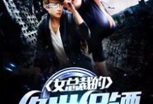 女总裁的绝世保镖小说的所有章节都能在哪里免费读到?-美文小说