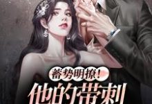 蓄势明撩!他的带刺玫瑰正走来(沈枳夏孟淮序)在线免费阅读-美文小说