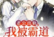 老公出轨,我被霸道总裁盯上了小说的所有章节都能在哪里免费读到?-美文小说