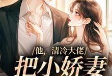 寻找他,清冷大佬,把小娇妻宠成宝小说的最新更新章节-美文小说