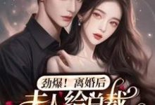 池晚池娇霍司寒池海平李岚霍总小说叫什么（劲爆，离婚后夫人给总裁挂男科了免费阅读）-美文小说