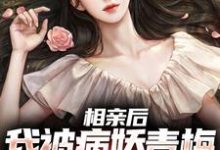 哪里可以免费找到相亲后,我被病娇青梅强势占有?-美文小说