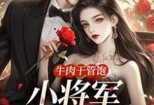 牛肉干管饱,小将军主动入赘小说,牛肉干管饱,小将军主动入赘章节在线阅读-美文小说