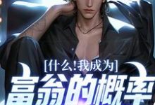 什么!我成为富翁的概率是百分之百小说完结了吗?在哪里可以免费读到?-美文小说