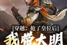 穿越：抢了皇位后，我带大明起飞小说最新章节在哪里可以读到？-美文小说