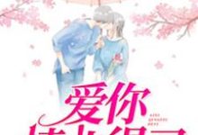 爱你情非得已这本小说完结了吗?免费查看最新章节-美文小说