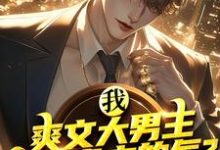 哪里能找到我,爽文大男主,能受虐文的气?小说的最新更新和免费章节?-美文小说