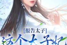 报告太子:这个太子妃好眼熟这本小说怎么样?免费在线阅读试试-美文小说