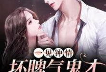 一见钟情:坏脾气鬼才导演的克星小说有没有完整的免费版本在线阅读?-美文小说