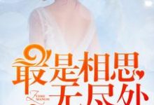 已完结小说《最是相思无尽处》章节免费阅读-美文小说