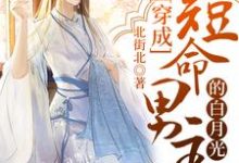 《穿成短命男主的白月光》小说章节在线试读,《穿成短命男主的白月光》最新章节目录-美文小说