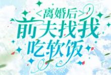 离婚后，前夫找我吃软饭贺繁鱼傅云珩，离婚后，前夫找我吃软饭小说免费阅读-美文小说