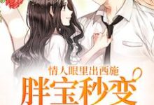 情人眼里出西施,胖宝秒变冷艳辣妻小说最新更新在哪里?免费在线看-美文小说