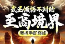 武圣领悟不到的至高境界,我挥手即巅峰林天小说免费阅读-美文小说