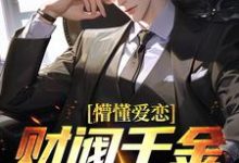 懵懂爱恋：财阀千金诡计多端小说，懵懂爱恋：财阀千金诡计多端最新章节-美文小说