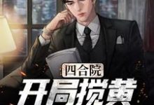 四合院:开局搅黄秦海茹婚事小说的无弹窗阅读体验,寻找免费阅读网站-美文小说