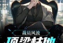 裁员风波:顶梁柱他创业成功了小说有没有完整的免费版本在线阅读?-美文小说