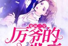 寻找龙凤三宝:厉爷的心尖妻小说的最新更新章节-美文小说