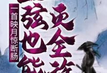 徐凡柳馨小说完结版在线阅读,一首映月惊断肠,二弦也能灭全族免费看-美文小说