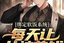 陈启小说在线章节免费阅读（绑定软饭系统，每天让女神花钱无弹窗无删减）-美文小说