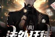 霍焱小说《我,法外狂徒,专门为民除害》在线阅读-美文小说