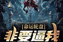 命运轮盘:非要逼我人前显圣肖牧叶秋嫙在线章节免费阅读-美文小说