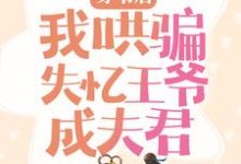 完结版《穿书后,我哄骗失忆王爷成夫君》在线免费阅读-美文小说