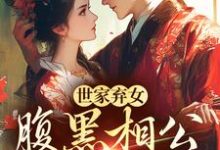 世家弃女，腹黑相公宠不停小说的免费阅读版本在哪里可以找到？-美文小说