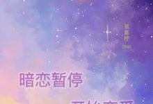 秦臻叶韫焓小说《暗恋暂停,开始恋爱》在线阅读-美文小说