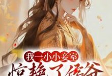 我一小小妾室,惊艳了侯爷很合理吧叶青芷谢晋在线章节免费阅读-美文小说