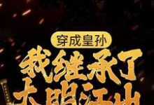 在线寻找穿成皇孙,我继承了大明江山小说的无删减版本-美文小说