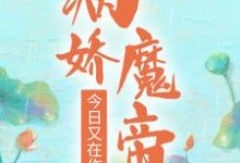 完结版《病娇魔帝今日又在作了》章节阅读-美文小说