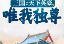 完结版《三国:天下英豪,唯我独尊!》免费阅读-美文小说