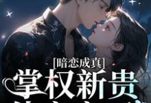 暗恋成真:掌权新贵他官宣了这本小说怎么样?免费在线阅读试试-美文小说