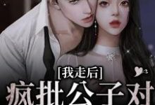 我走后,疯批公子对我相思入骨小说,我走后,疯批公子对我相思入骨免费阅读-美文小说