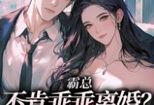 已完结小说《霸总不肯乖乖离婚？我用钱砸死他》在线章节阅读-美文小说