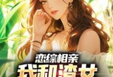小说《恋综相亲：我和渣女小姨恋爱了》在线章节阅读-美文小说