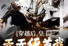 穿越后,皇上天天缠着我参加科举这本小说完结了吗?免费查看最新章节-美文小说