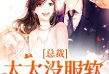 总裁，太太没服软还闹离婚宋青烟季晏礼小说完结版章节在线阅读-美文小说