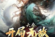 大秦：开局无敌，爆爽横推！章节免费在线阅读，秦汉秦皇完结版-美文小说