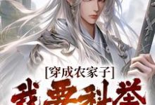 穿成农家子,我要科举当人上人小说的无弹窗阅读体验,寻找免费阅读网站-美文小说