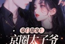 小说《豪门甜宠!京圈太子爷是恋爱脑》章节阅读-美文小说