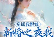 木婉云沈阔小说叫什么(造谣我恨嫁?新婚之夜我火烧你府院免费阅读)-美文小说