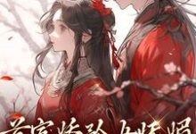 《首富娇矜女妩媚,王爷欲罢不能》小说苏珞浅陆璟肆章节章节免费在线阅读-美文小说