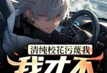清纯校花污蔑我，我才不救人了小说全文哪里可以免费看？-美文小说