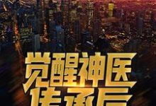 觉醒神医传承后,拿女神试手小说的免费电子版在哪里可以下载或阅读?-美文小说