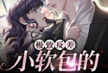 完结版《极致反差:小软包的疯批老公》章节阅读-美文小说
