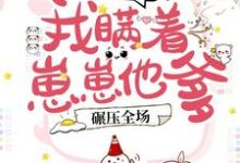 小说《豪门团宠：我瞒着崽崽他爹，碾压全场！》在线章节阅读-美文小说
