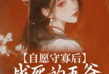 完结版《自愿守寡后,战死的王爷连夜归来》章节目录在线阅读-美文小说